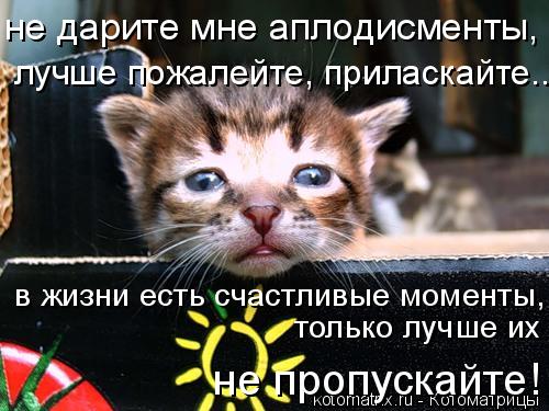 не дарите мне аплодисменты, лучше пожалейте, приласкайте... в жизни есть счастливые моменты, только... Котоматрица: не дарите мне аплодисменты, лучше пожалейте, приласкайте... в жизни есть счастливые моменты, только лучше их не пропускайте!