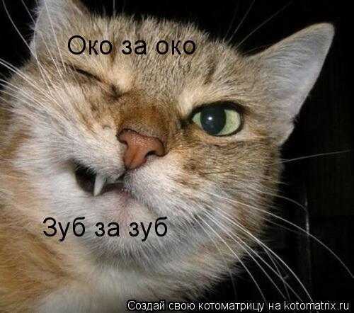 Око за око Зуб за зуб... Котоматрица: Око за око Зуб за зуб