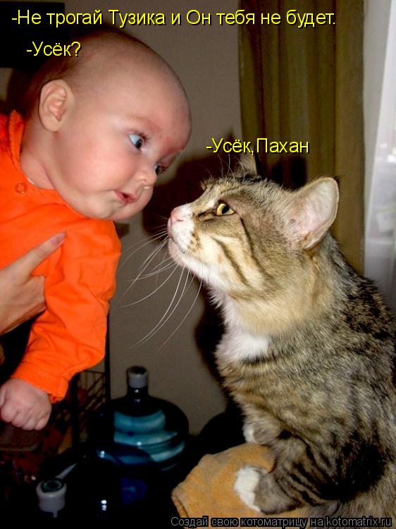 -Усёк,Пахан -Не трогай Тузика и Он тебя не будет. -Усёк?... Котоматрица: -Усёк,Пахан -Не трогай Тузика и Он тебя не будет. -Усёк?