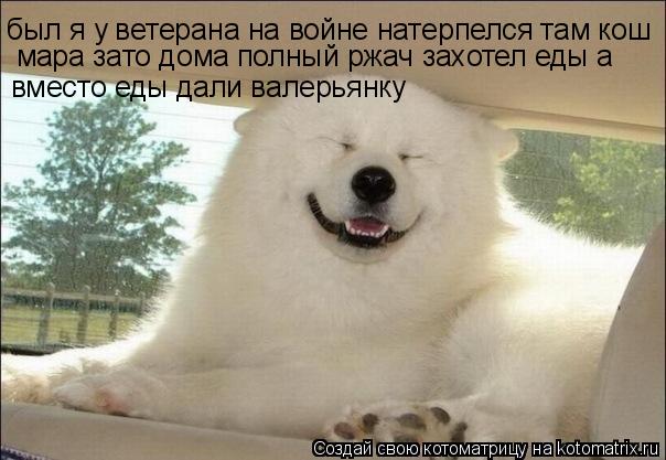 был я у ветерана на войне натерпелся там кош мара зато дома полный ржач захотел еды а вместо еды дали... Котоматрица: был я у ветерана на войне натерпелся там кош мара зато дома полный ржач захотел еды а вместо еды дали валерьянку