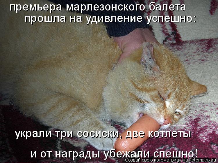 премьера марлезонского балета прошла на удивление успешно: украли три сосиски, две котлеты и от нагр... Котоматрица: премьера марлезонского балета прошла на удивление успешно: украли три сосиски, две котлеты и от награды убежали спешно!