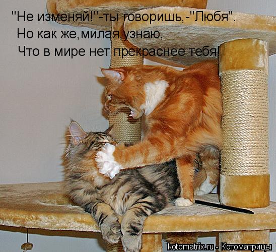 ''Не изменяй!''-ты говоришь,-''Любя''. Но как же,милая,узнаю, Что в мире нет прекраснее тебя!... Котоматрица: ''Не изменяй!''-ты говоришь,-''Любя''. Но как же,милая,узнаю, Что в мире нет прекраснее тебя!