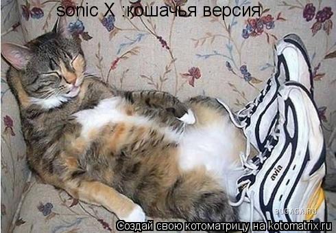 sonic X :кошачья версия... Котоматрица: sonic X :кошачья версия
