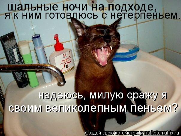 шальные ночи на подходе, я к ним готовлюсь с нетерпеньем. надеюсь, милую сражу я своим великолепным ... Котоматрица: шальные ночи на подходе, я к ним готовлюсь с нетерпеньем. надеюсь, милую сражу я своим великолепным пеньем?
