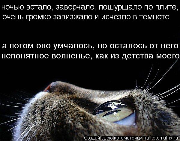 Котоматрица: ночью встало, заворчало, пошуршало по плите,  очень громко завизжало и исчезло в темноте. а потом оно умчалось, но осталось от него непонятно