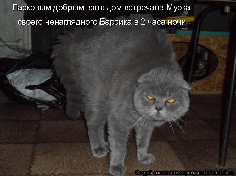 Ласковым добрым взглядом встречала Мурка своего ненаглядного Барсика в 2 часа ночи... Котоматрица: Ласковым добрым взглядом встречала Мурка своего ненаглядного Барсика в 2 часа ночи