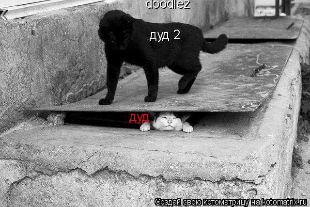 doodlez дуд дуд 2... Котоматрица: doodlez дуд дуд 2