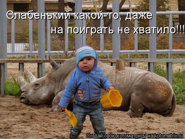 на поиграть не хватило!!! Слабенький какой-то, даже... Котоматрица: на поиграть не хватило!!! Слабенький какой-то, даже