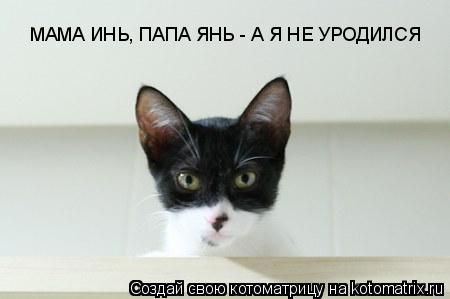 МАМА ИНЬ, ПАПА ЯНЬ - А Я НЕ УРОДИЛСЯ... Котоматрица: МАМА ИНЬ, ПАПА ЯНЬ - А Я НЕ УРОДИЛСЯ