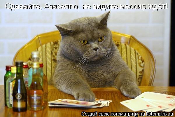 Сдавайте, Азазелло, не видите мессир ждёт!... Котоматрица: Сдавайте, Азазелло, не видите мессир ждёт!