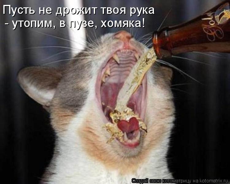 Котоматрица: Пусть не дрожит твоя рука  - утопим, в пузе, хомяка!