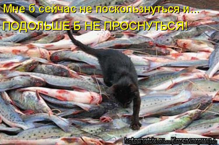 Котоматрица: Мне б сейчас не поскользнуться и...  ПОДОЛЬШЕ Б НЕ ПРОСНУТЬСЯ!