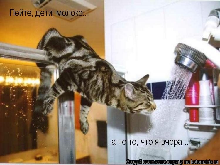 Котоматрица: Пейте, дети, молоко... ...а не то, что я вчера...