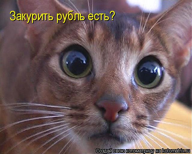 Котоматрица: Закурить рубль есть?