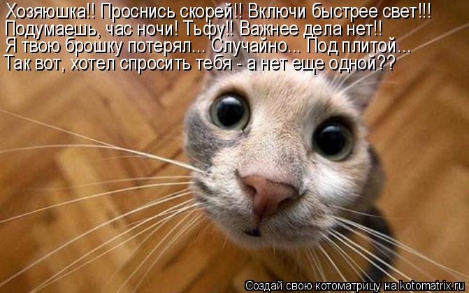 Хозяюшка!! Проснись скорей!! Включи быстрее свет!!! Подумаешь, час ночи! Тьфу!! Важнее дела нет!! Я т... Котоматрица: Хозяюшка!! Проснись скорей!! Включи быстрее свет!!! Подумаешь, час ночи! Тьфу!! Важнее дела нет!! Я твою брошку потерял... Случайно... Под плитой...