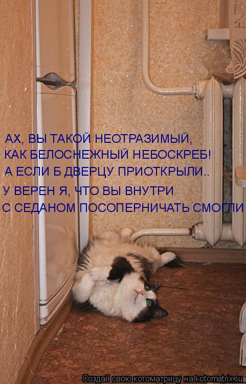 Котоматрица: АХ, ВЫ ТАКОЙ НЕОТРАЗИМЫЙ, КАК БЕЛОСНЕЖНЫЙ НЕБОСКРЕБ! А ЕСЛИ Б ДВЕРЦУ ПРИОТКРЫЛИ.. У ВЕРЕН Я, ЧТО ВЫ ВНУТРИ С СЕДАНОМ ПОСОПЕРНИЧАТЬ СМОГЛИ