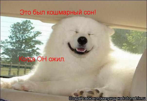 Котоматрица: Это был кошмарный сон! Когда ОН ожил.