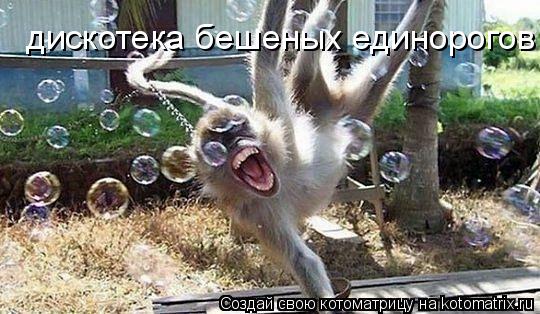 Котоматрица: дискотека бешеных единорогов