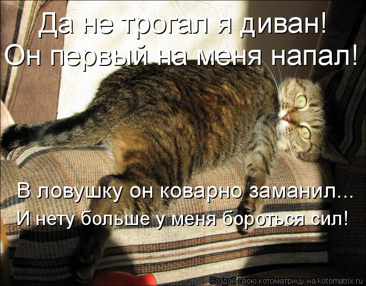 Котоматрица: Да не трогал я диван! Он первый на меня напал! В ловушку он коварно заманил... И нету больше у меня бороться сил!