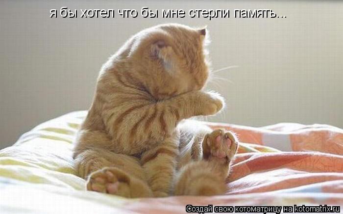 Котоматрица: я бы хотел что бы мне стерли память...