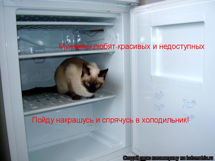 Котоматрица: Мужчины любят красивых и недоступных Пойду накрашусь и спрячусь в холодильник!