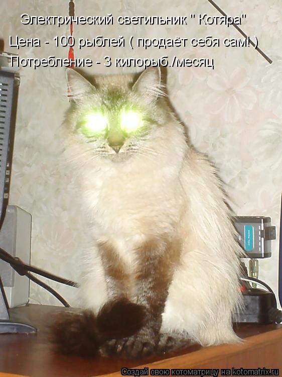 Котоматрица: Электрический светильник " Котяра" Цена - 100 рыблей ( продаёт себя сам! ) Потребление - 3 килорыб./месяц