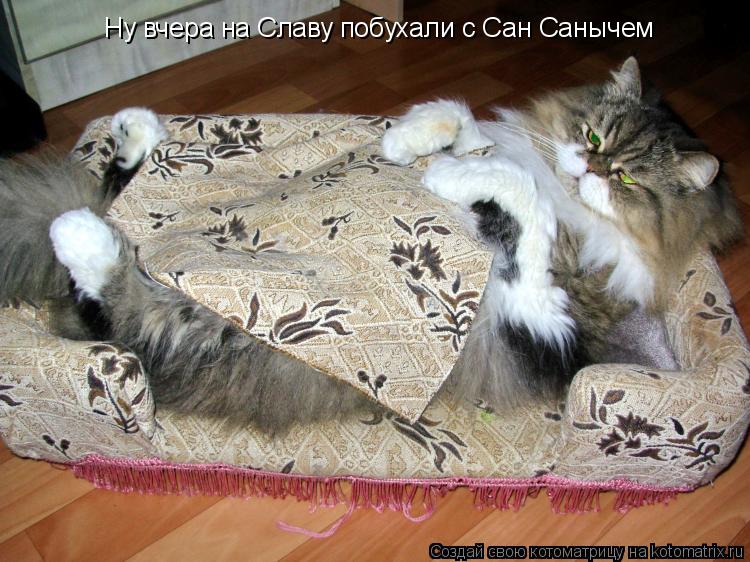 Котоматрица: Ну вчера на Славу побухали с Сан Санычем