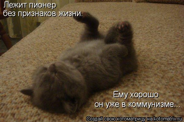 Котоматрица: Лежит пионер без признаков жизни. он уже в коммунизме... Ему хорошо