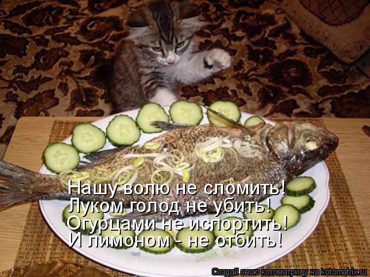 Нашу волю не сломить! Луком голод не убить! Огурцами не испортить! И лимоном - не отбить!... Котоматрица: Нашу волю не сломить! Луком голод не убить! Огурцами не испортить! И лимоном - не отбить!