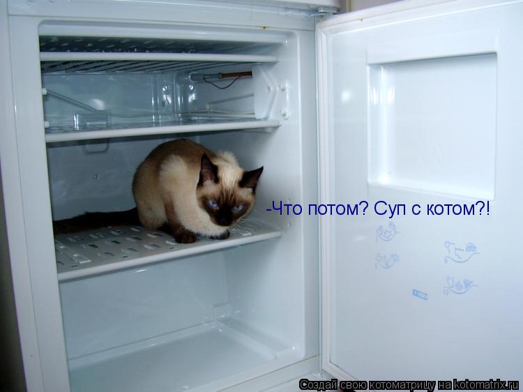 Котоматрица: -Что потом? Суп с котом?!