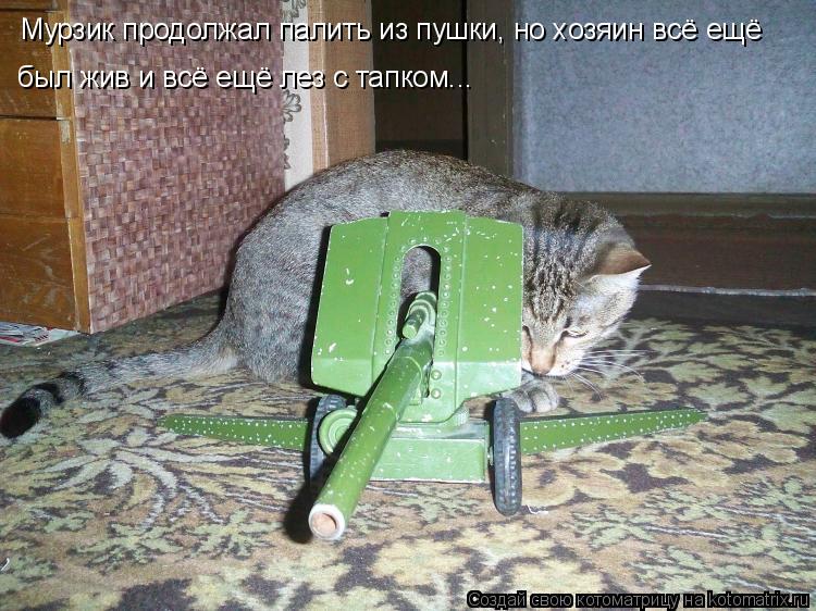 Котоматрица: Мурзик продолжал палить из пушки, но хозяин всё ещё был жив и всё ещё лез с тапком...