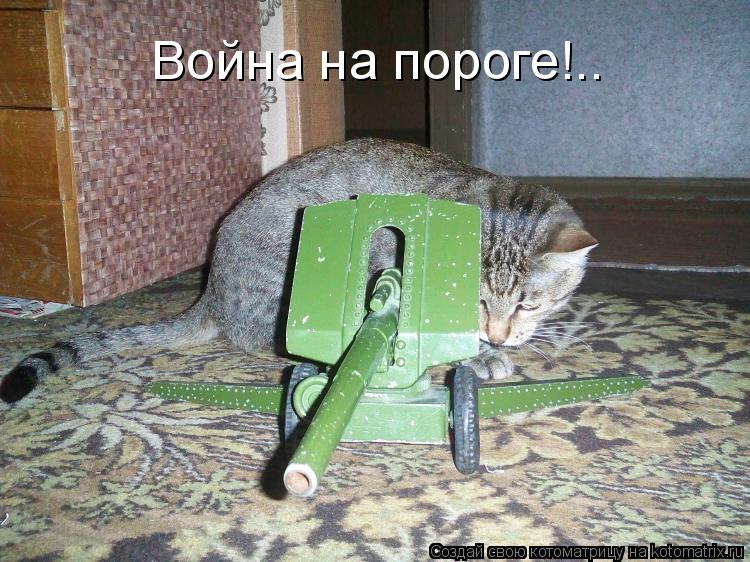 Котоматрица: Война на пороге!..