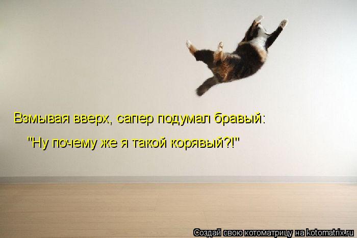 Котоматрица: Взмывая вверх, сапер подумал бравый: "Ну почему же я такой корявый?!"