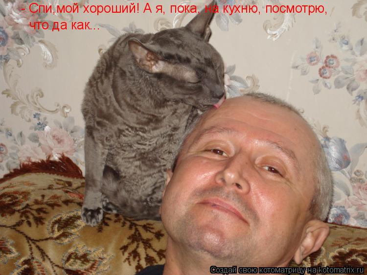 Котоматрица: - Спи,мой хороший! А я, пока, на кухню, посмотрю,  что да как...