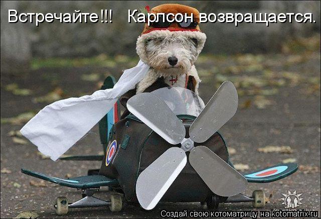 Котоматрица: Встречайте!!!   Карлсон возвращается.