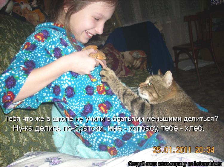 Котоматрица: Тебя что-же в школе не учили с братьями меньшими делиться? Ну-ка делись по-братски, мне - колбасу, тебе - хлеб.
