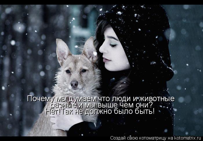 Котоматрица: Почему мы думаем что люди и животные разные,и мы выше чем они? Нет!Так не должно было быть!