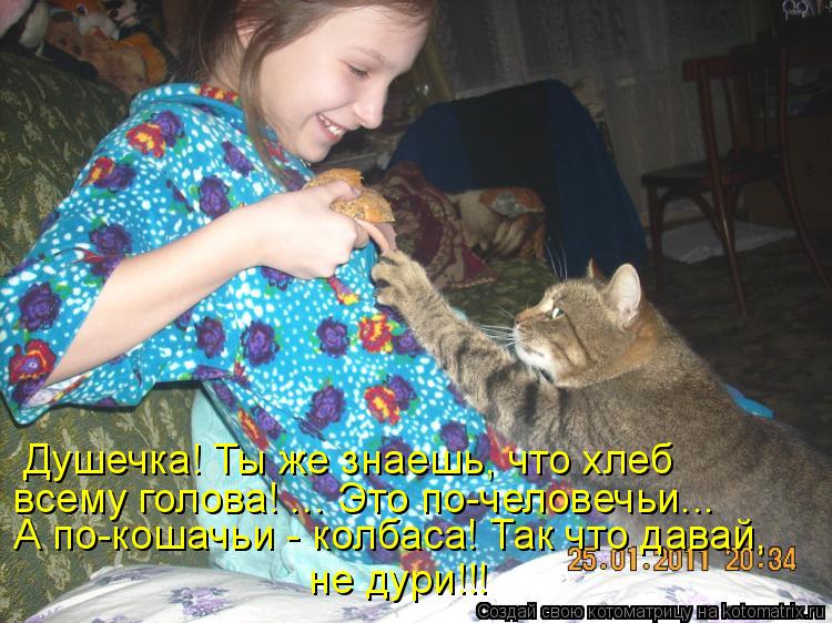 Котоматрица: Душечка! Ты же знаешь, что хлеб  всему голова! ... Это по-человечьи... А по-кошачьи - колбаса! Так что давай,  не дури!!!