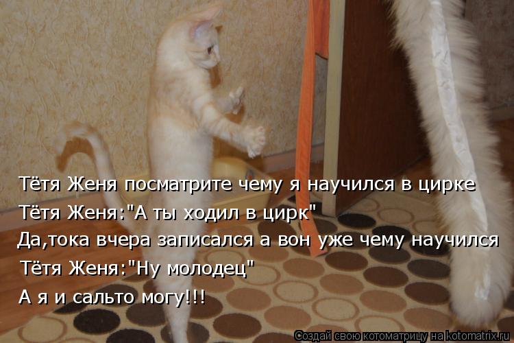 Котоматрица: Тётя Женя посматрите чему я научился в цирке Да,тока вчера записался а вон уже чему научился Тётя Женя:"А ты ходил в цирк" Тётя Женя:"Ну молод
