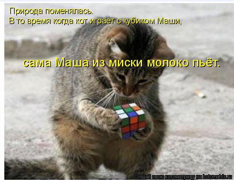 Котоматрица: Природа поменялась. В то время когда кот играет с кубиком Маши, сама Маша из миски молоко пьёт.