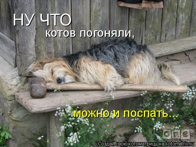 Котоматрица: НУ ЧТО котов погоняли, можно и поспать...