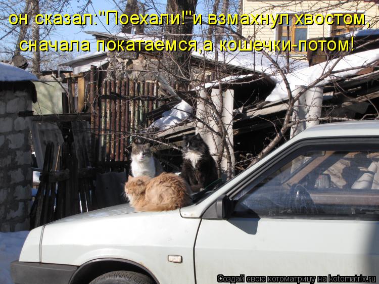 Котоматрица: он сказал:"Поехали!"и взмахнул хвостом, сначала покатаемся,а кошечки-потом!