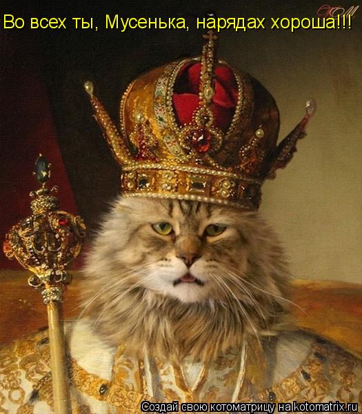 Котоматрица: Во всех ты, Мусенька, нарядах хороша!!!