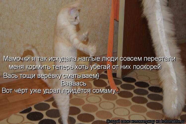 Котоматрица: Мамочки я так исхудала,наглые люди совсем перестали  меня кормить теперь хоть убегай от них поскорей Вась тощи верёвку сматываем} Ваааась В