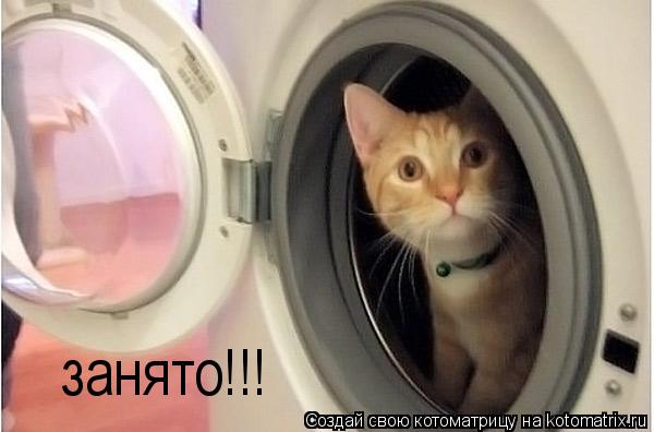 Котоматрица: занято!!!