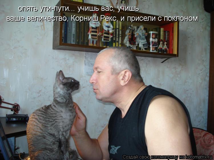 Котоматрица: опять ути-пути... учишь вас, учишь ваше величество, Корниш Рекс, и присели с поклоном