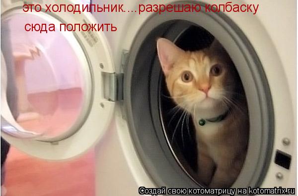 Котоматрица: это холодильник....разрешаю колбаску  сюда положить