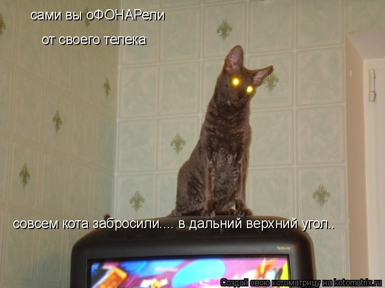 Котоматрица: сами вы оФОНАРели от своего телека совсем кота забросили.... в дальний верхний угол..