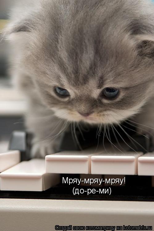 Котоматрица: Мряу-мряу-мряу! (до-ре-ми)