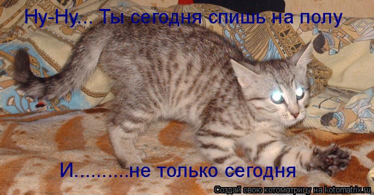 Котоматрица: Ну-Ну... Ты сегодня спишь на полу И..........не только сегодня